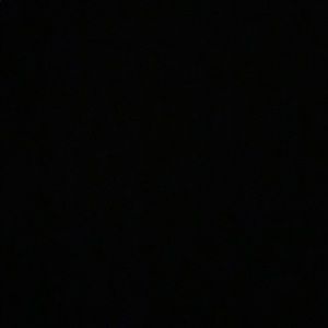 Meet your Posher, Anianita